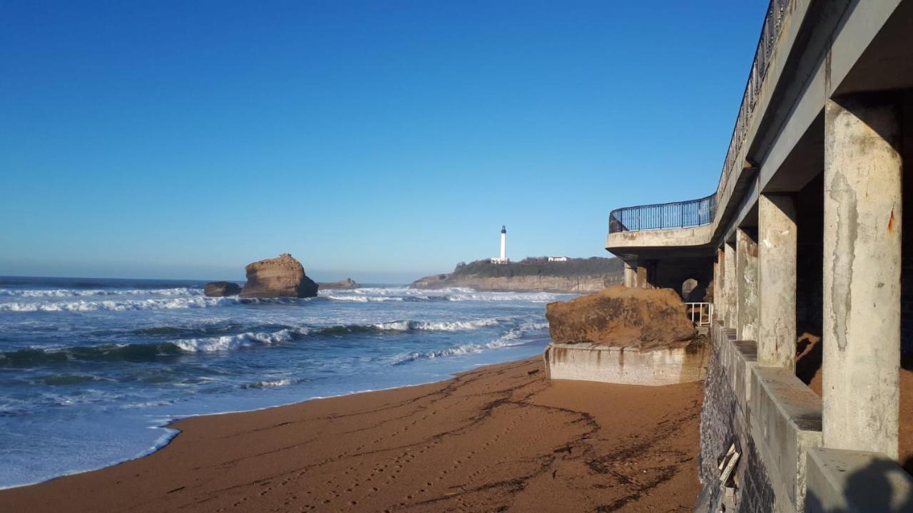 Studio Et Piscine Sur La Grande Plage 比亚里茨 外观 照片